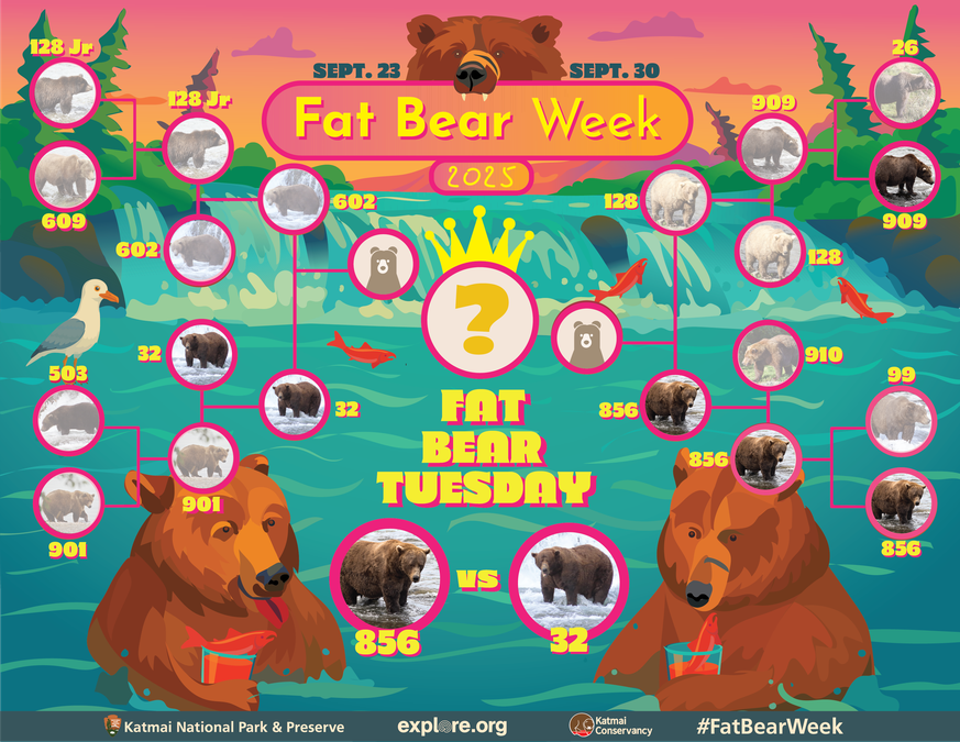 Das «Bracket» gibt es auch leer, dass man selbst seine Schätzungen eingeben kann.