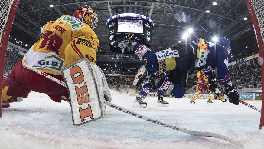 Steiner segelt an Langnau-Goalie Ciaccio vorbei.