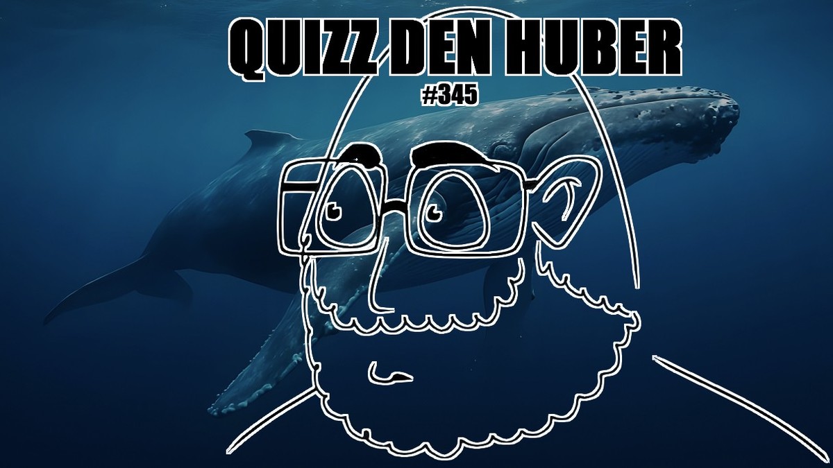 QDH-Huber-ist-ein-Wal-Die-Frage-ist-ob-er-strandet