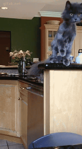 Animiertes GIF