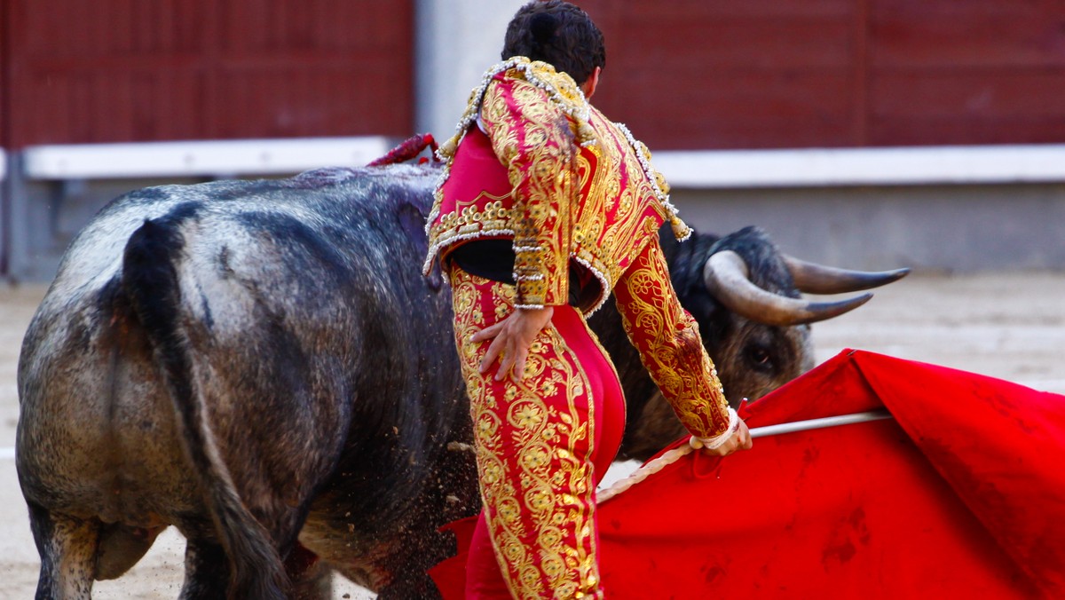 Stierkampf Torero