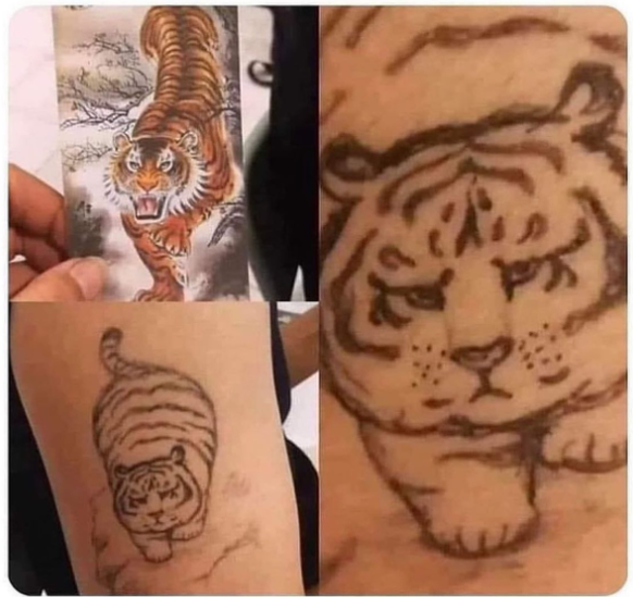 Large tiger tattoo fail