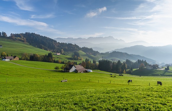 Idyllic mountain landscape in the Appenzell Alps with farmhouses, green meadows and grazing cows, the Alpstein mountains with Saentis in the background, Appenzellerland, Canton Appenzell Innerrhoden,  ...