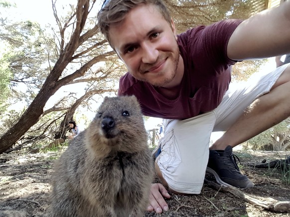 Quokka Selfie. Quokkas sind ja sowas wie die australischen Murmelis, immerhin.