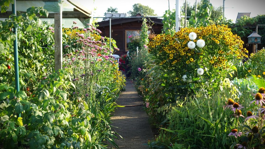 Reportage aus dem Familiengarten Scheuerrain in Muttenz, der wegen des geplanten Rheintunnels mit dem nationalen Autobahnausbau platt gemacht werden soll.