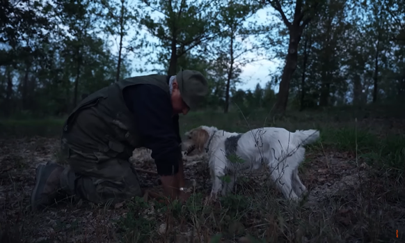 ARTE-Doku über Trüffelsucher, Trüffelhunde, Giftköder