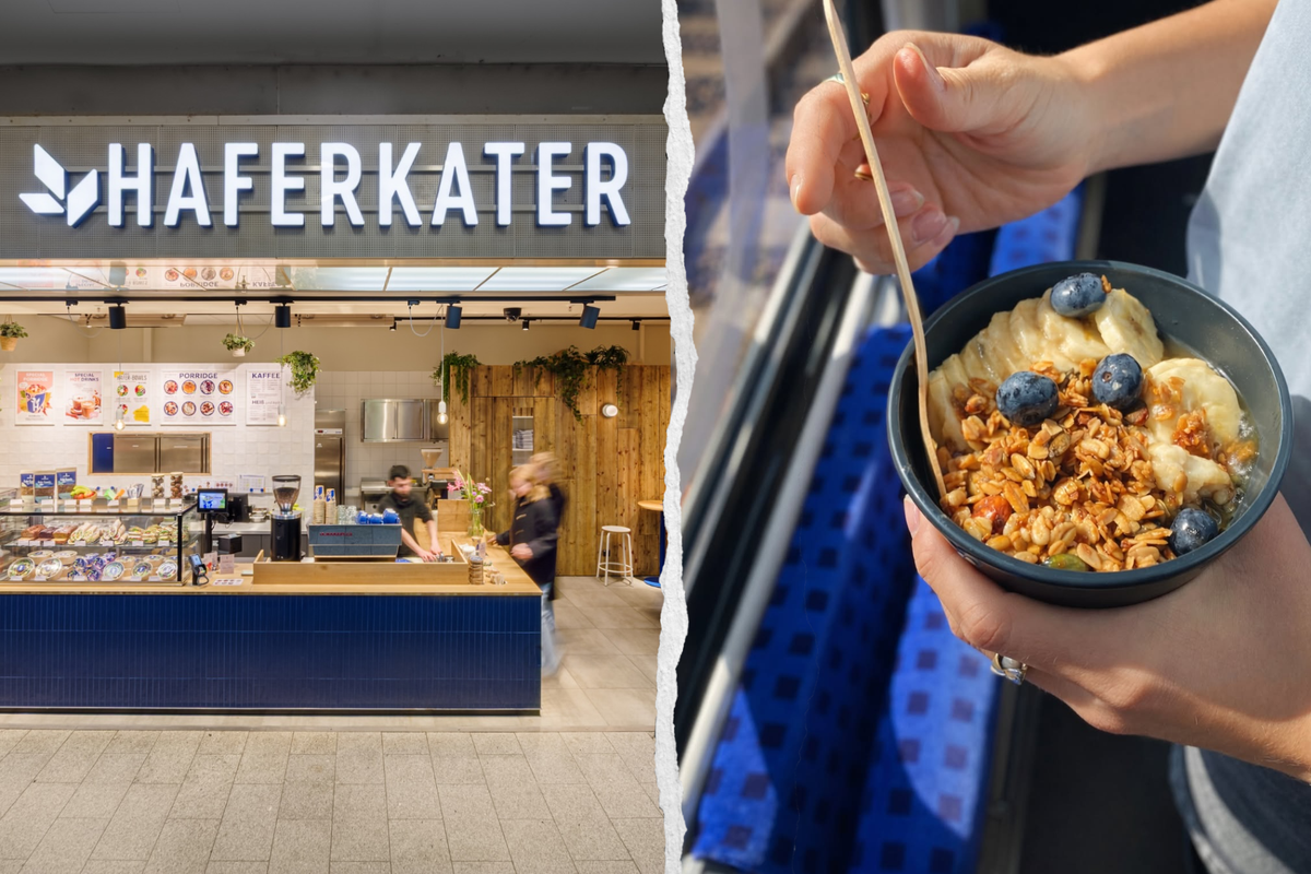 Haferkater veut conquérir les garses suisses