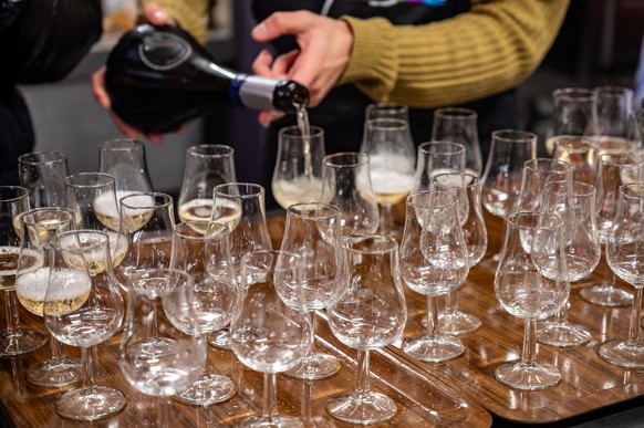 Many small tasting glasses of sparkling champagne wine on winter festival in December, Avenue de Champagne, Epernay, Champagne region, France Model Released Property Released xkwx alcohol anniversary  ...
