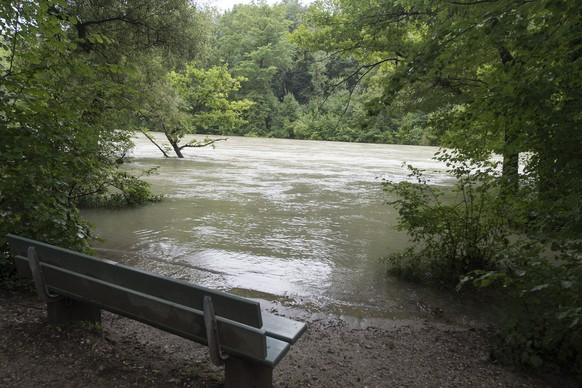 Die Hochwasser führende Aare in der Elfenau nach erneuten heftigen Regenfällen.