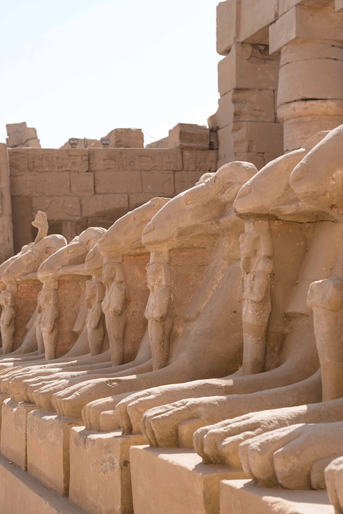 Die Widderallee am Eingang zum Karnak-Tempel in Luxor.