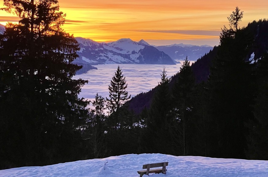 Sonnenhütte Ibergeregg Baumhütte Rauszeit Skihütten