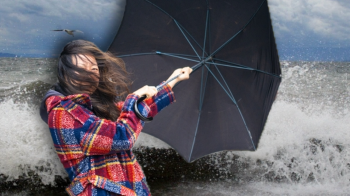 Un vent glacial arrive en Suisse