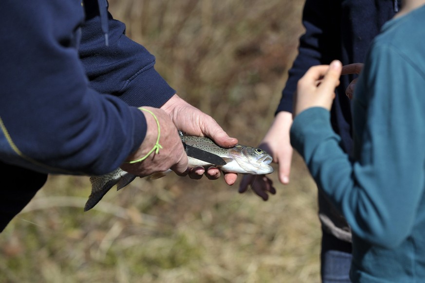 Kinder sollen fachgerechtes Töten von Fischen lernen.