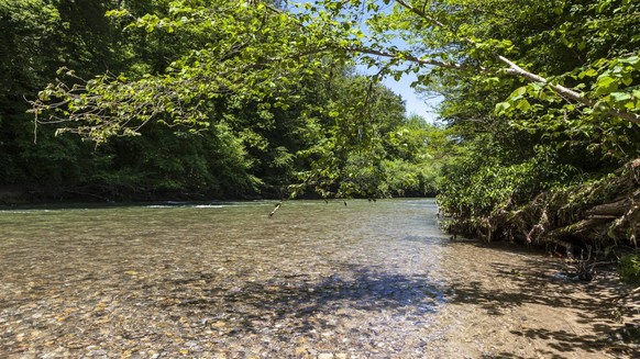Gewässerperlen Schweiz wilde naturnahe Schweizer Flüsse unberührt Flusswanderungen Rauszeit Töss