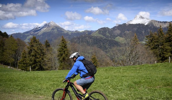 Mountainbiker auf E-Bike fährt im Grünen