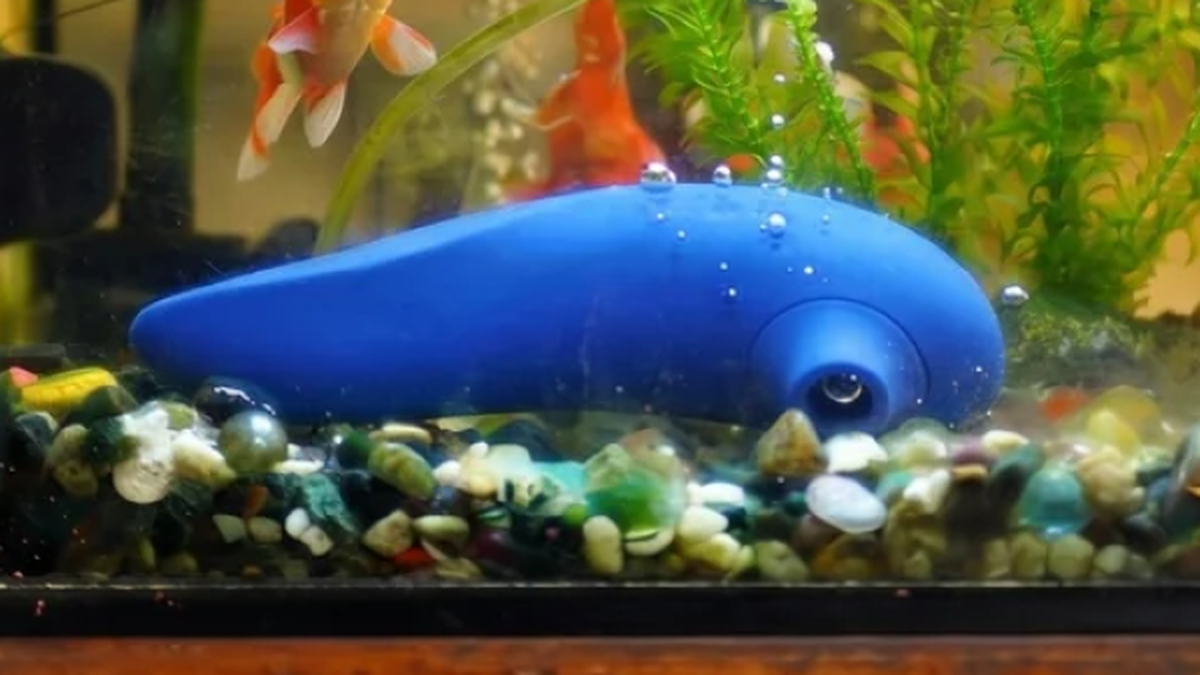 Dieses weltbekannte Sextoy bekommt seinen eigenen Kinofilm