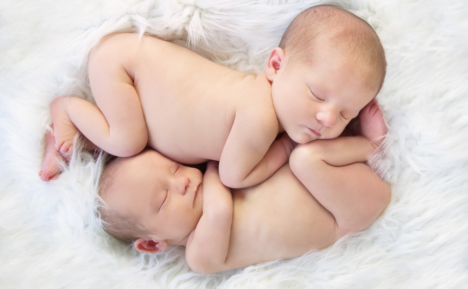zwillinge twins babys säuglinge neugeborene shutterstock