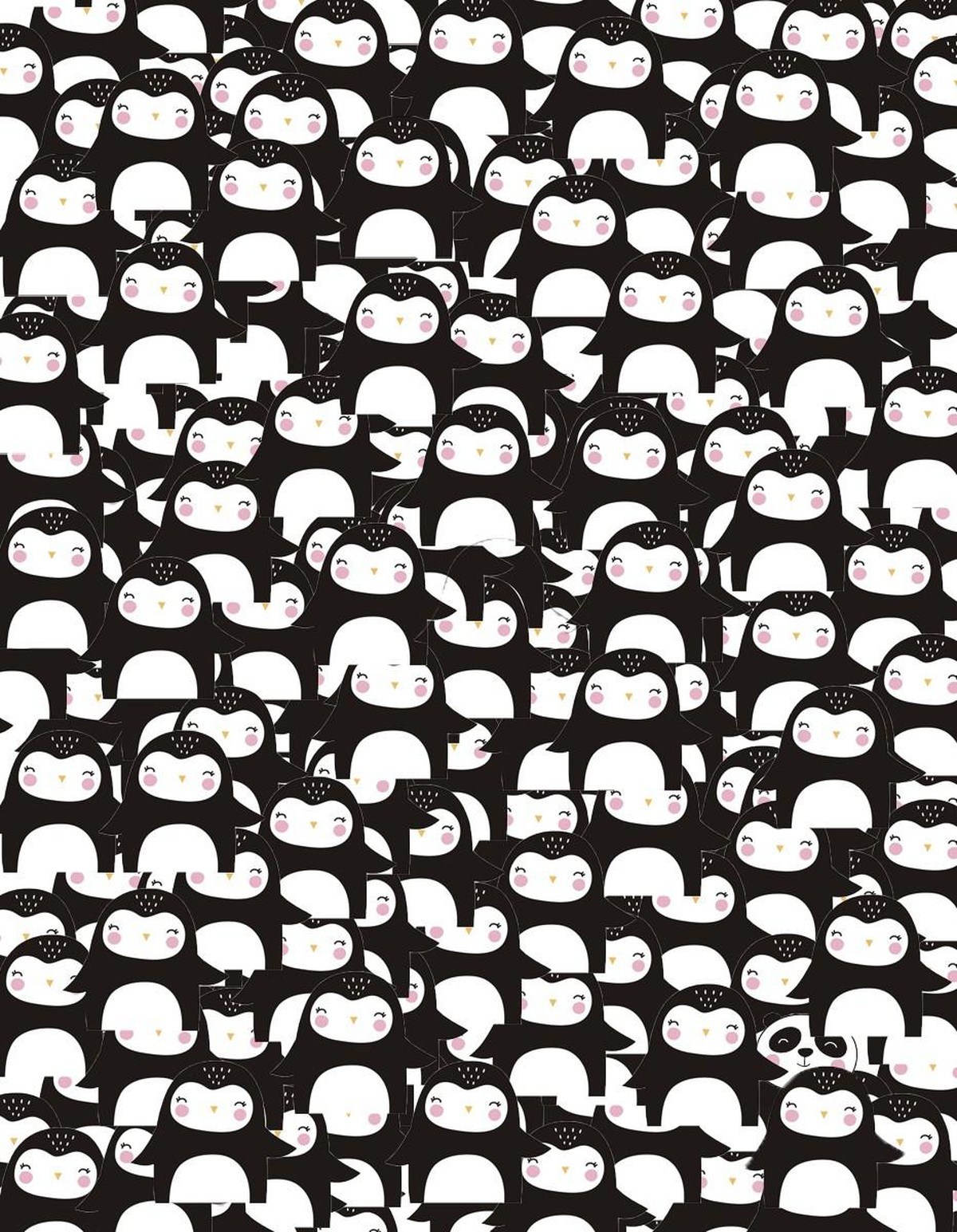 panda pingu augequiz sinne schärfen