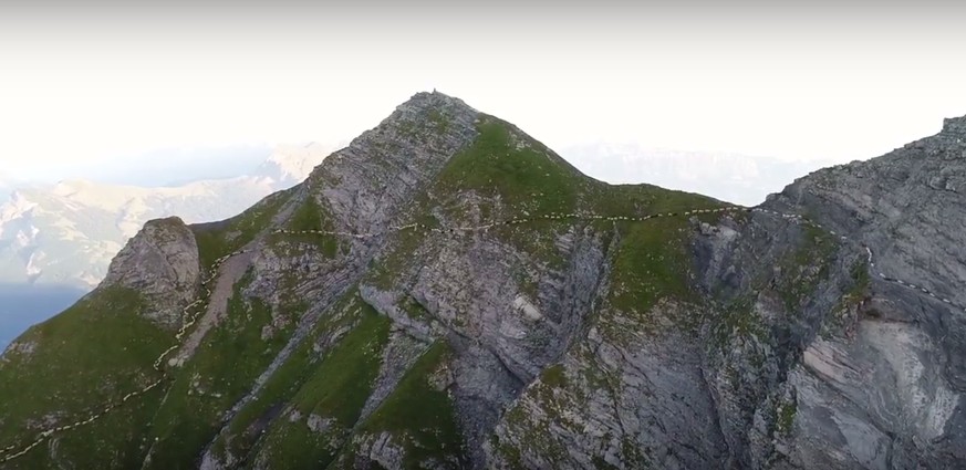 Hier wandern 1500 Schafe über den Falknis.&nbsp;