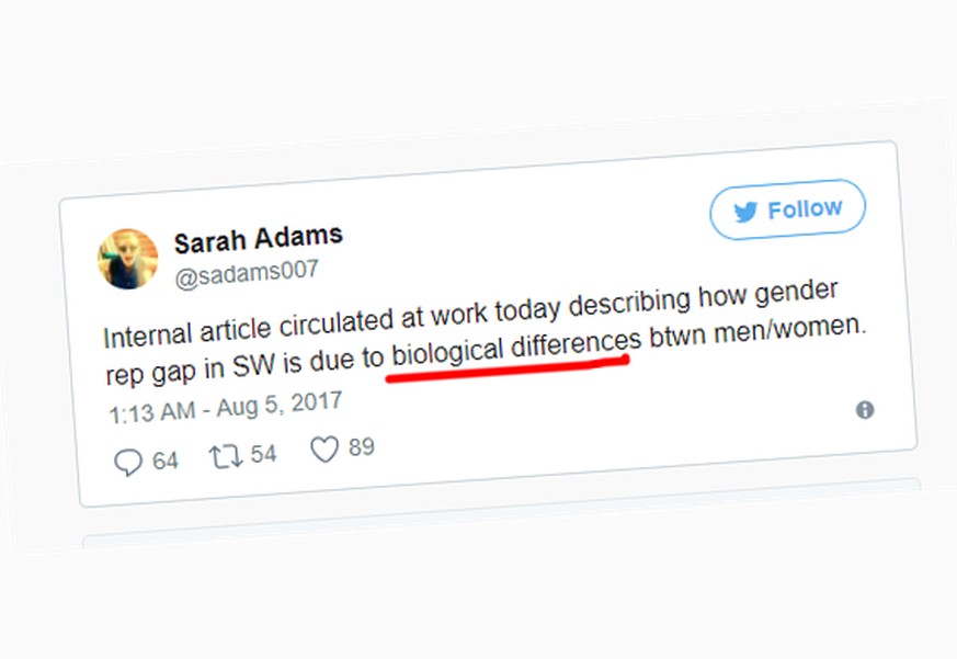 Sexistische Kackscheisse! Google-Entwickler sagt, warum Männer bessere Programmierer sind