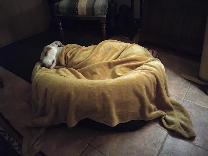 AccidentalRenaissance
Told this would fit here 

https://www.reddit.com/media?url=https%3A%2F%2Fpreview.redd.it%2Ftold-this-would-fit-here-v0-vx3ix2ualxsg1.jpeg%3Fwidth%3D1080%26crop%3Dsmart%26auto%3D ...