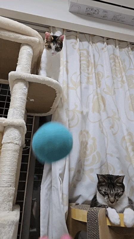 Animiertes GIF