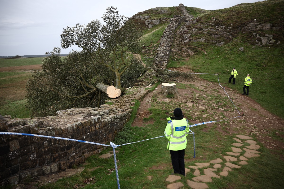 epa12239409 (FILE) - Police on the scene with the remains of the tree at Sycamore Gap next to Hadrian's Wall in Northumberland, Britain, 28 September 2023 (reissued 15 July 2025). Two men were se ...