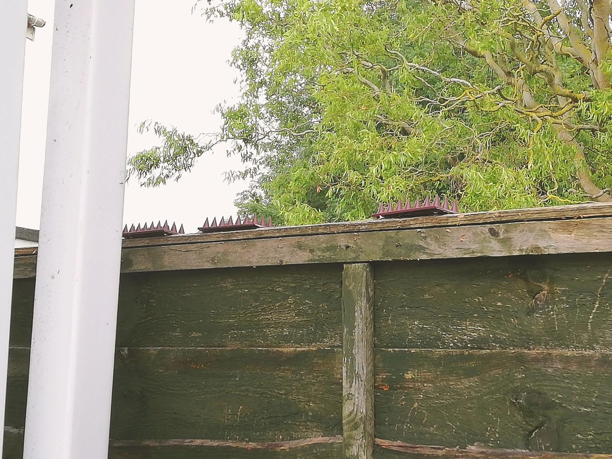 Spikes auf einem Gartenzaun zur Abwehr von Katzen