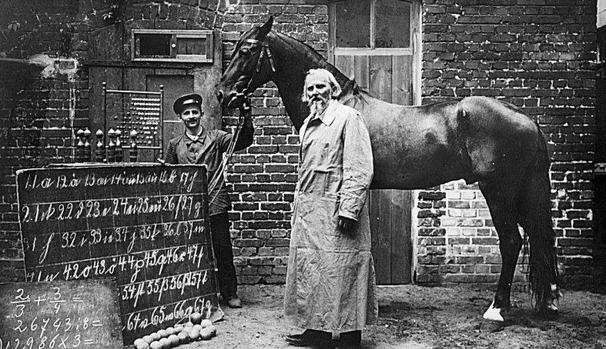 Der Kluge Hans: Das Pferd, das rechnen konnte
