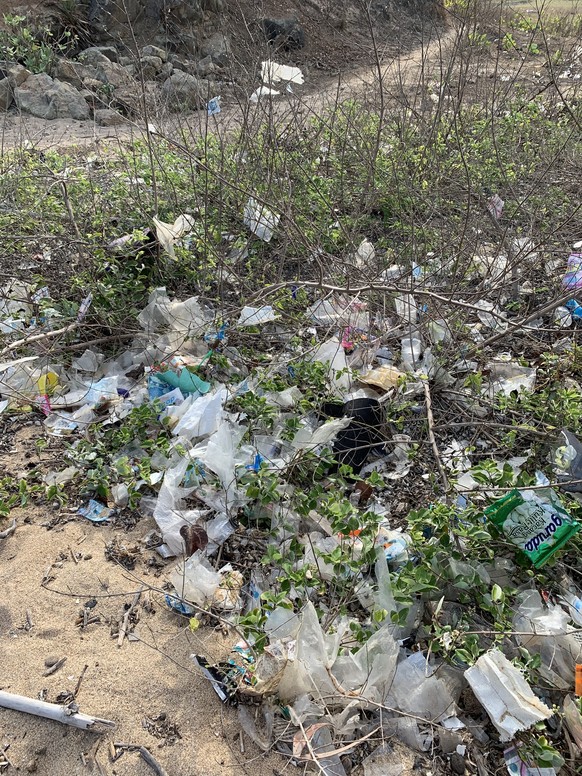 The plastic is everywhere: carelessly thrown away or washed ashore by the sea.