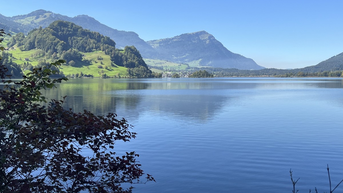 Gefahr für Kinder und Hunde: Behörden warnen vor Blaualgen im Lauerzersee