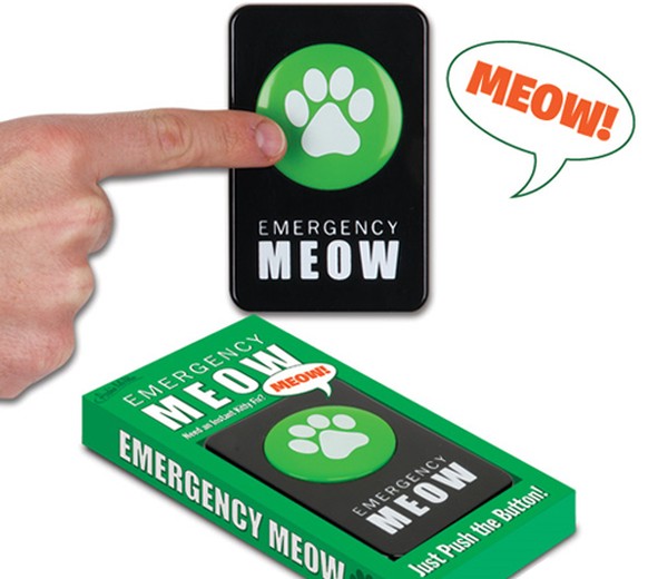 Notfall-Miau-Knopf
https://www.perpetualkid.com/emergency-meow-button.html