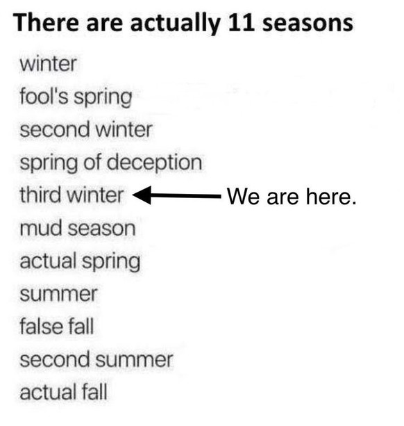 Überraschungs-Winter im Frühling. Die Memes.