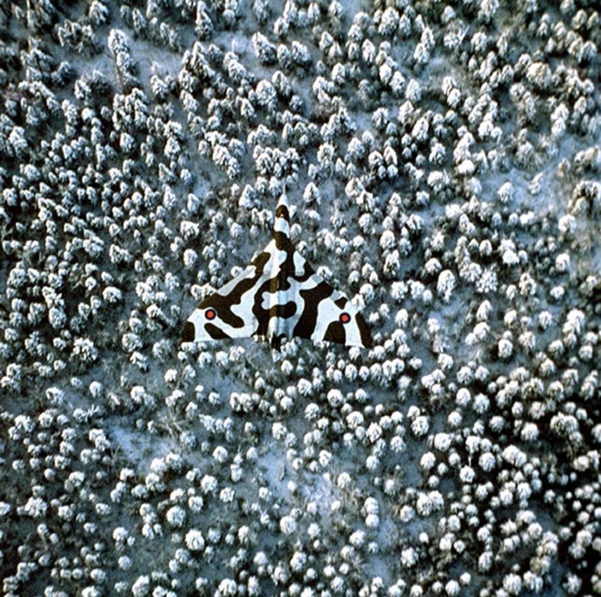 Avro Vulcan, Royal Air Force - wenn Flugzeugtarnung so richtig gut funktioniert.
https://aviationhumor.net/best-examples-of-aircraft-camouflage/