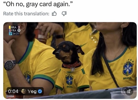 Natürlich gehört ein Hund nicht ins Stadion, aber es ist ziemlich sicher KI.