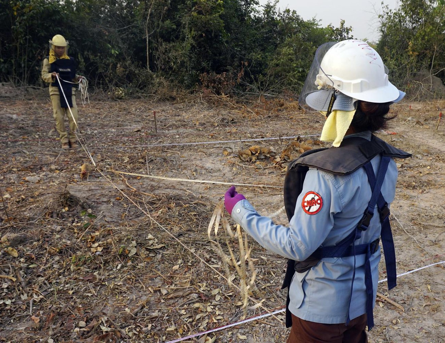 In this Feb. 19, 2016, photo, handlers So Malen, foreground, and Ok Chann guide Hero Rat Cletus across a suspected mine field in Trach, Cambodia. African rats are the latest weapon enlisted to clear C ...