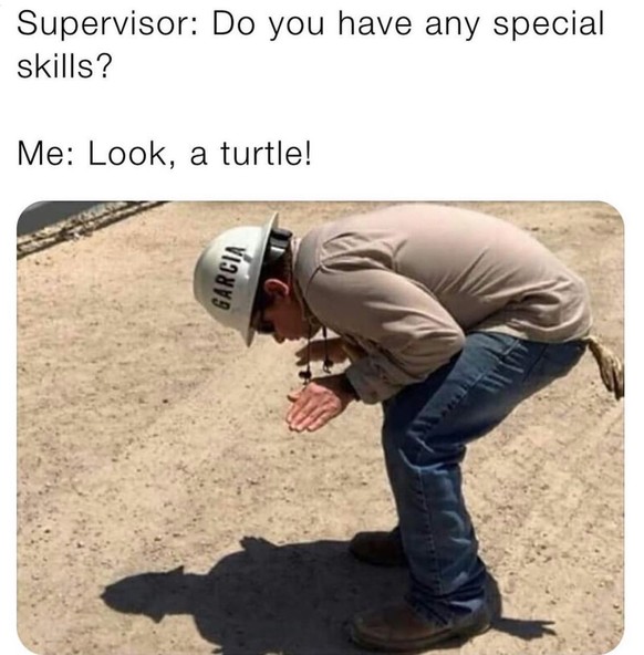 Schildkröten Fähigkeiten Meme beim Vorstellungsgespräch