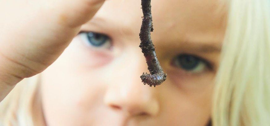 Die Frage nach dem Sinn des Lebens irritiert – doch vielleicht kann uns der Wurm helfen