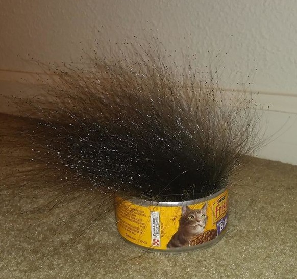 Mold