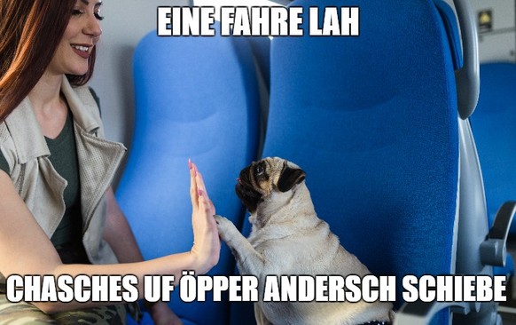 (Pendler mit Hunden haben da einen grossen Vorteil.)