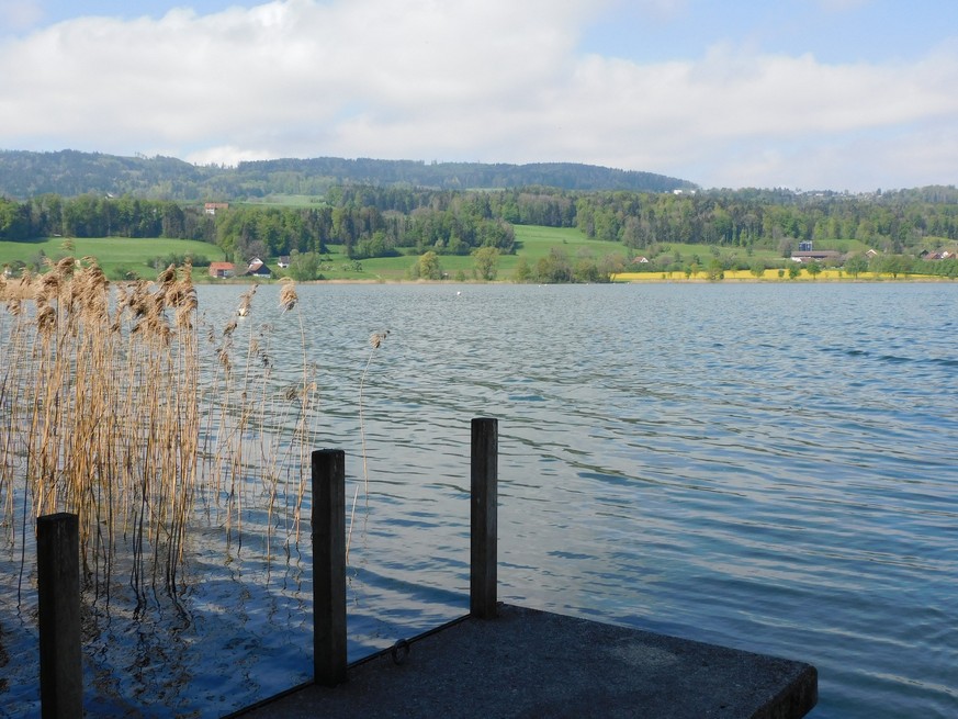 Das Naturschutzgebiet am Greifensee ist Ziel für alle, die das Unverfälschte suchen.