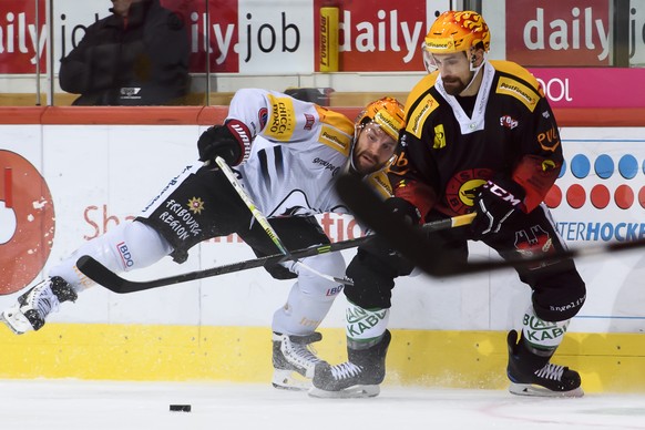 Gotterons David Desharnais, links, und Berns Topscorer Mark Arcobello, rechts, kaempfen um den Puck, beim Eishockey Meisterschaftsspiel der National League zwischen dem SC Bern und den HC Fribourg Got ...