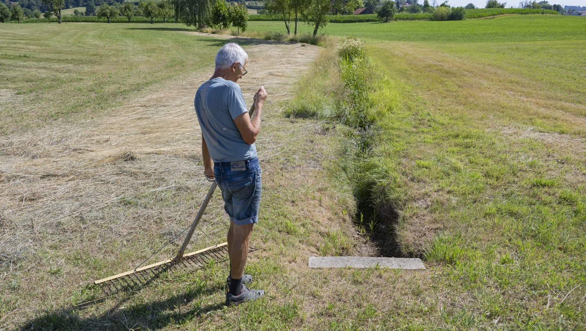 Ein Landwirt begutachtet einen kleinen Bach, welcher das erste mal seit Jahrzehnten ausgetrocknet ist, in Buttisholz im Kanton Luzern am Freitag, 10. Juli 2026. (KEYSTONE/Urs Flueeler)
