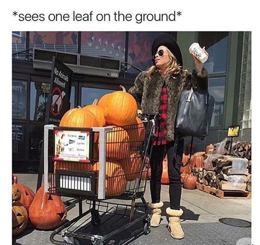 Kürbis outfit

https://ch.pinterest.com/pin/AXLP5z0wu7V3ufoUVJcPDr4F-HFO4JKD-6BN7tWSb7NQJytF6WPLjxI/