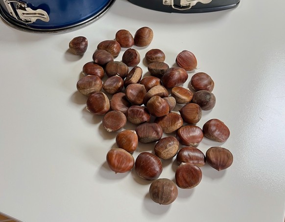 Olivers Urgrossmutters Kastanienkuchen. Ein Selbsttest.