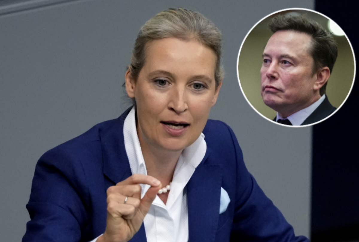 Teaser Weidel Musk