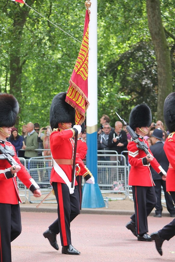 Truppenfahne: Ein Fähnrich (Ensign) der Grenadier Guards beim Tragen der Queen’s Colour.
https://commons.wikimedia.org/w/index.php?curid=26706698