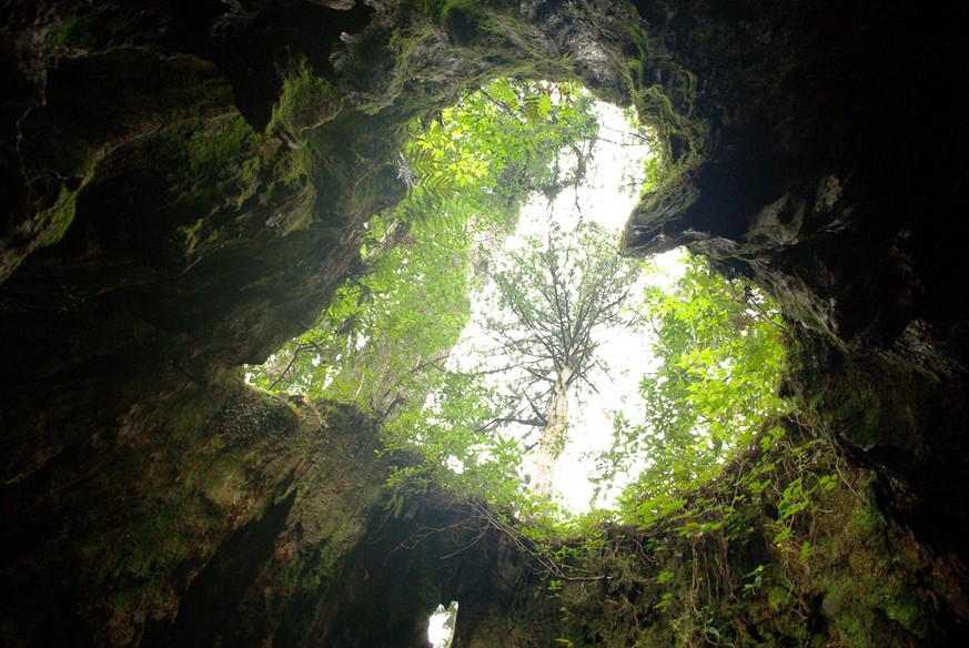Yakushima Japan Natur in Herzform (Seen, Insel, Fels)