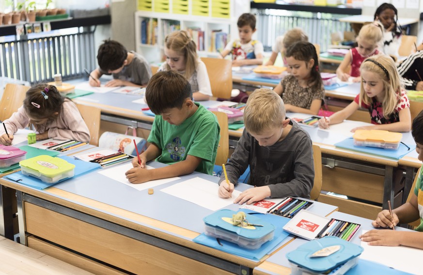 IM HINBLICK AUF DEN SCHULJAHRESBEGINN STELLEN WIR IHNEN FOLGENDES NEUES BILDMATERIAL VON DER PRIMARSCHULE DER SCHULE SUHR ZUR VERFUEGUNG ---Primary school class 1c pictured during a double science and ...