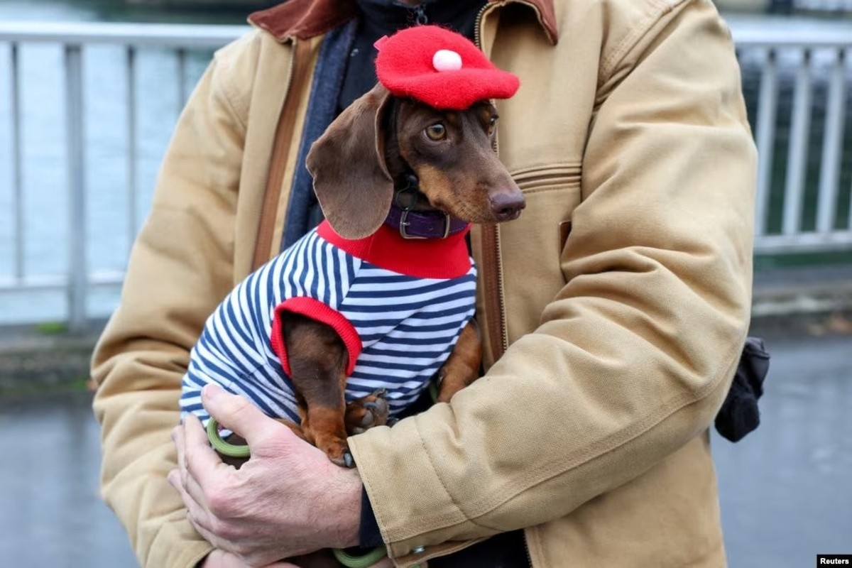 Paris Sausage Walk 2024